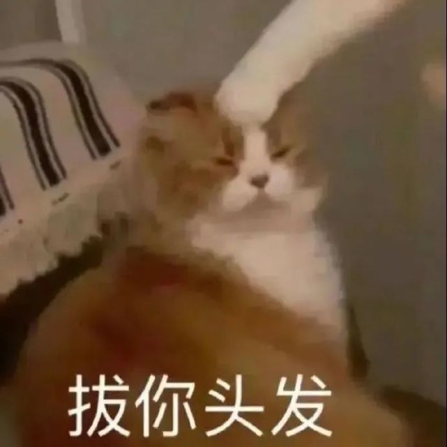 45岁女子带5娃嫁给初恋,跟前夫的20年婚姻中常被家暴!