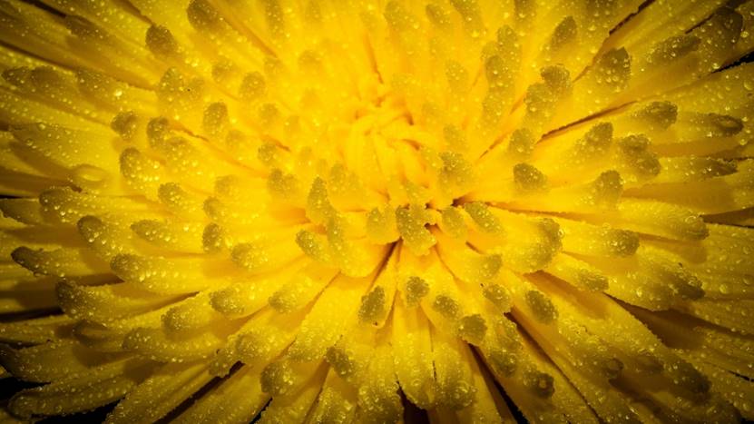 |早上被闹钟唤醒后,先睁开眼睛5分钟,你知道吗?