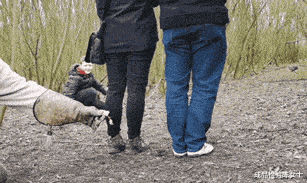 |遗落在民间的明星脸:可惜同脸不同命,最后一张笑出猪叫!