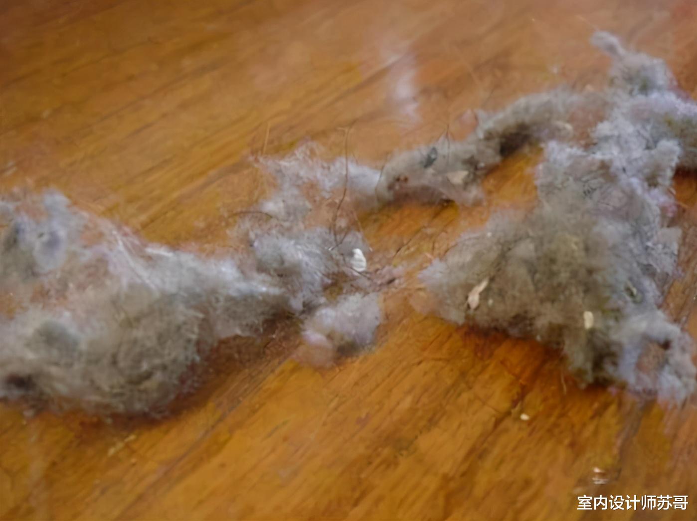 为什么每天打扫，地面还有“毛毛”？教你正确的做法，省时省力