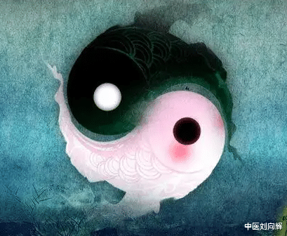 咳嗽|怕冷又怕热，补阳还是养阴？张仲景教你5味药，调和阴阳