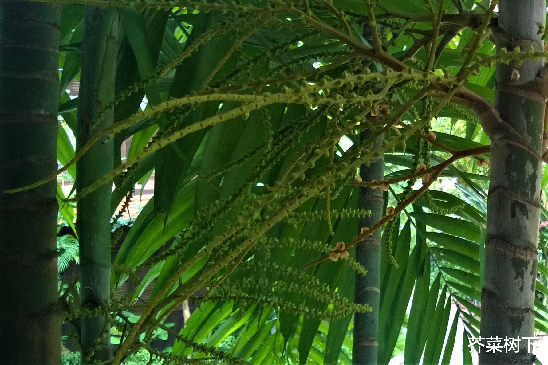 猎聘|人在职场，你理解“理解”吗？