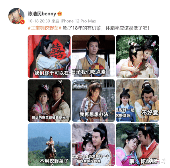 陈浩民|两主演回应“挖野菜”梗：一位被骂到道歉，一位却备受好评