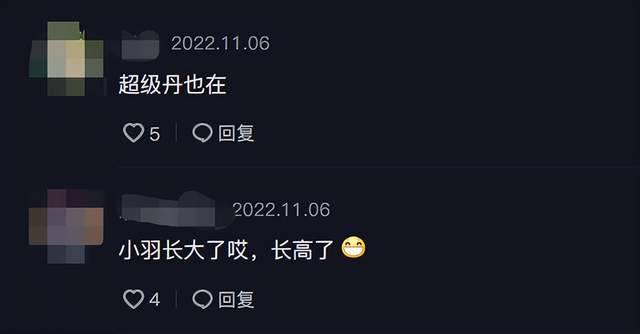 露营|林丹一家户外露营！嘴角一圈胡茬坐姿霸气，老婆戴3万耳钉好贵气