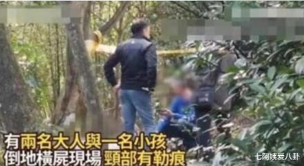 楚原|林明弘，为何宁愿勒死妻儿之后自缢 ，也不求弟弟明道帮助自己？