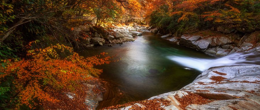 湿地公园|10月最佳旅游地推荐：秋光潋滟，怎能错过这绝美又惊艳的山林风光