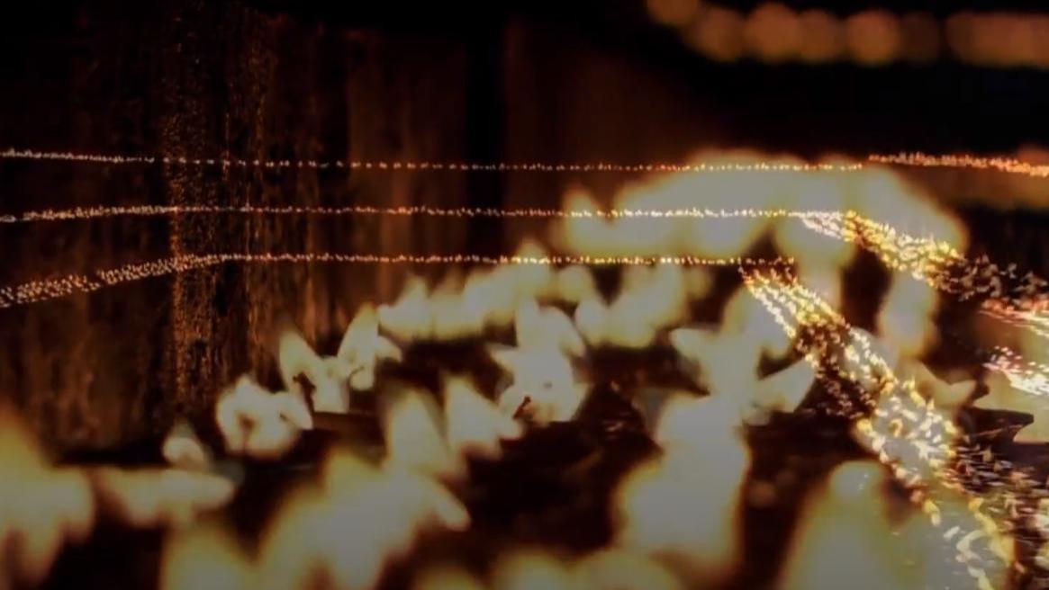 人离世后会经历什么？科学界有重大发现，其中49天是关键？