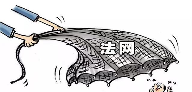 案例：儿子因意外丧失生育能力，公公逼迫儿媳为其生子引发血案