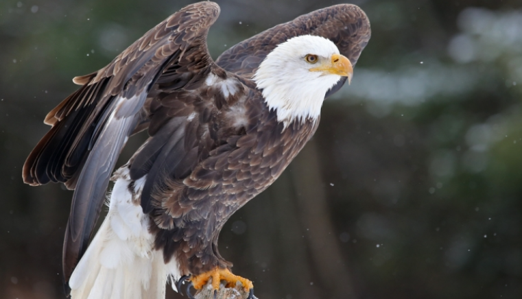 职业教育|五种错误心态，让你止步于中阶主管，再难往上进阶变高层