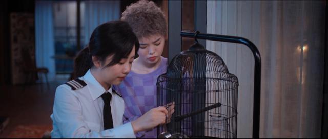 王凯|《向风而行》一星差评如雨，王凯背一半锅，还有三人也有主要责任