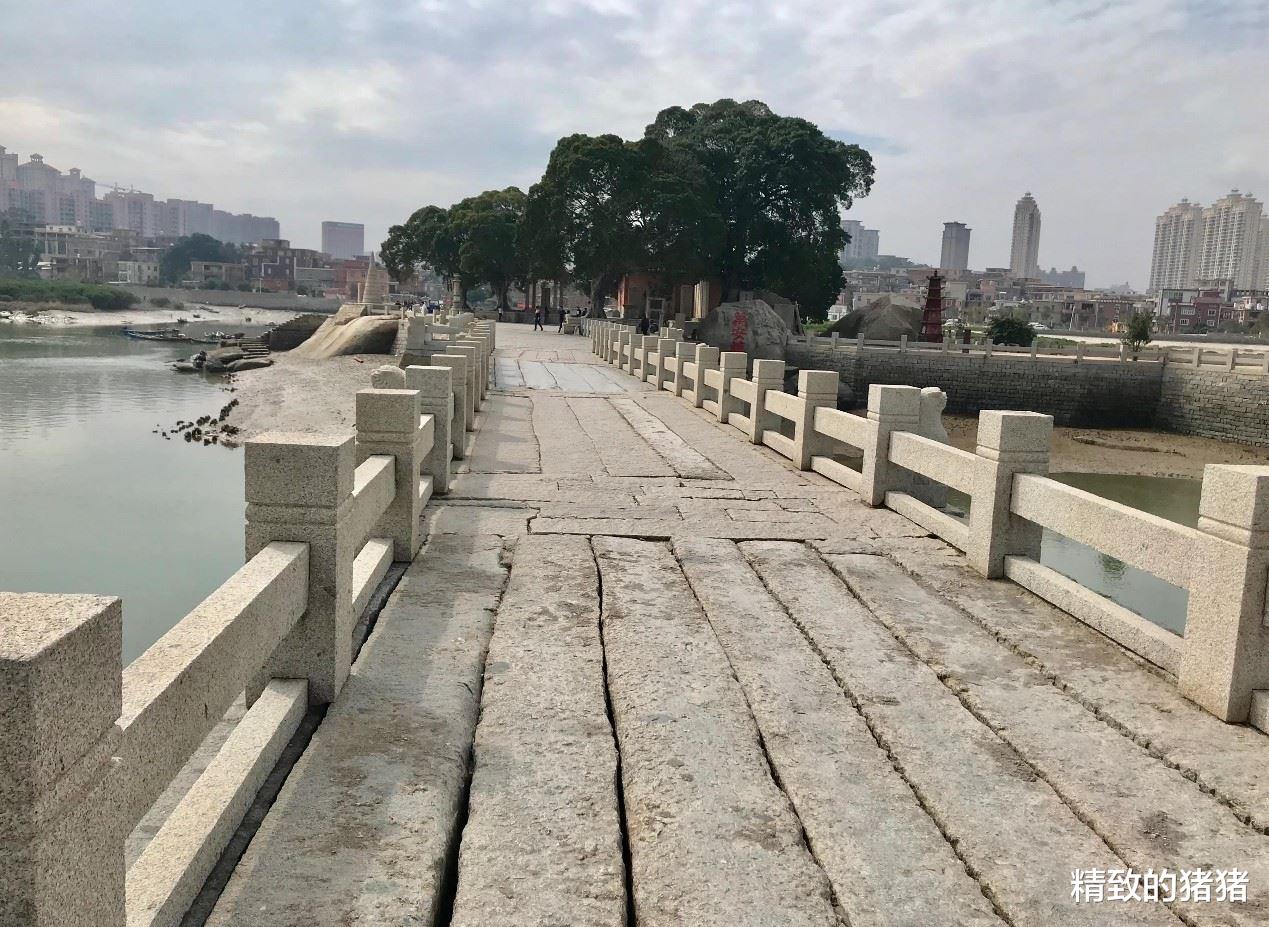 泉州|泉州洛阳桥游玩攻略