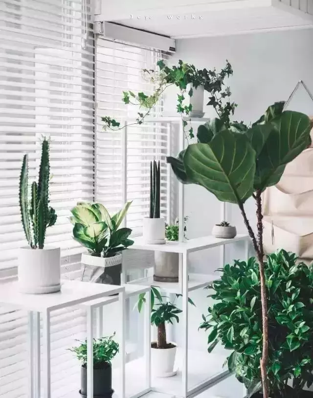 什么样的窗帘最百搭?选对窗帘,装修颜值一下就上去了