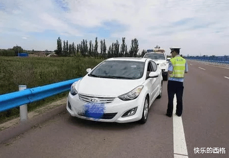 河南郑州,崔某为了让怀孕39周的妻子下车休息一下,就把车停在应急车道上,谁知刚停下就被交警查获
