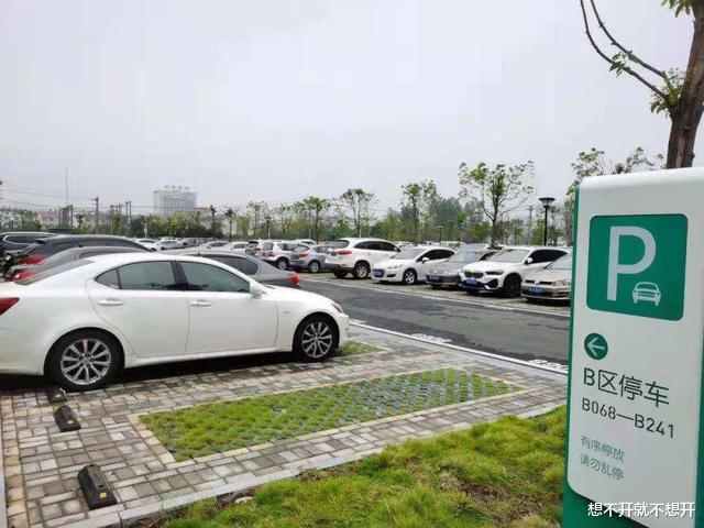 湖南:女子停车5分钟,收费4950元,收费员:自己干了啥不知道?