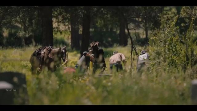 卡拉|9.5分,这神剧实在太上头