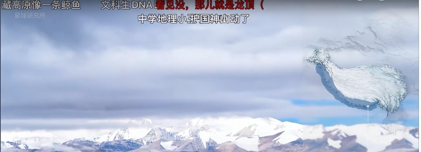仅9分钟的视频他们做了三年，开头就震惊了观众