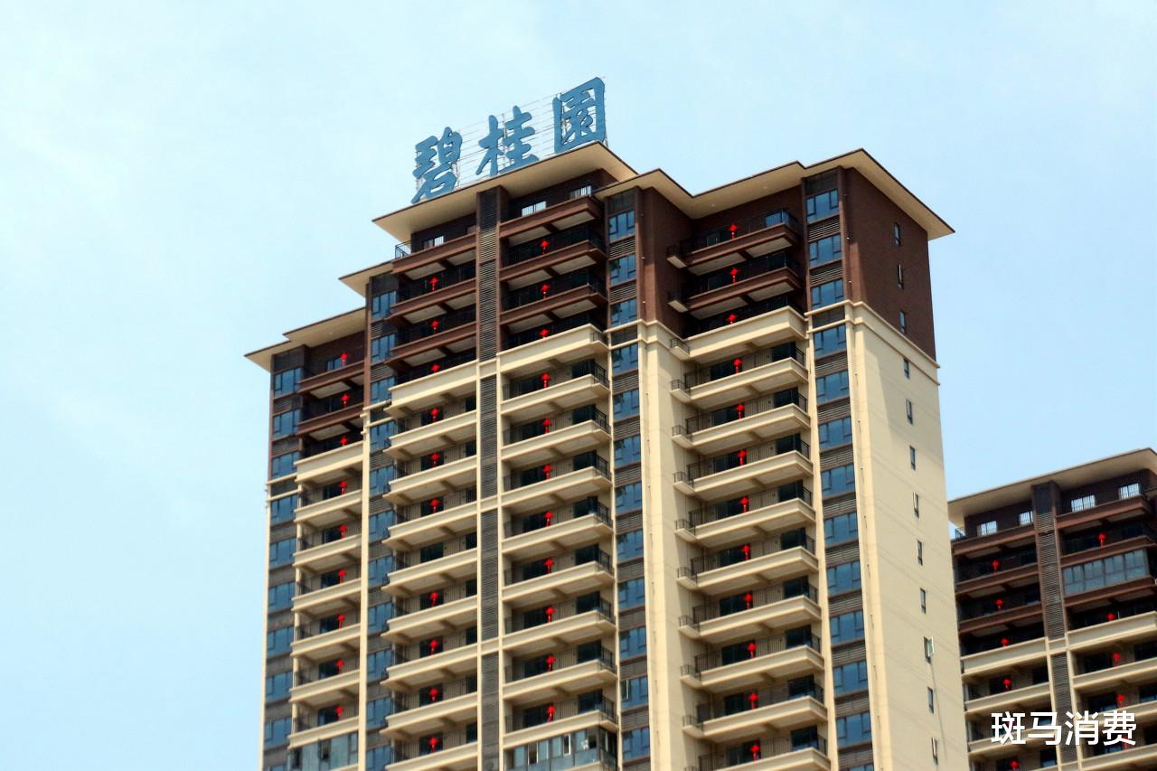 碧桂园|碧桂园，静悄悄
