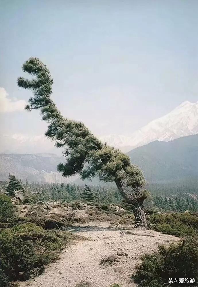 美丽|62幅奇观美景，各具特色，饱眼福了