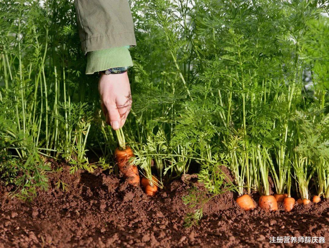 牛奶|打了个喷嚏导致腰椎骨折！补钙别只喝牛奶，有7种蔬菜钙含量比牛奶高！