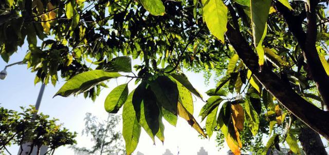 OPPO|OPPO再度发力,骁龙888+50MP三摄+80W闪充,仅2299元