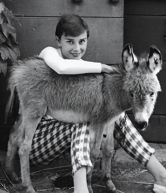 奥黛丽·赫本|奥黛丽赫本的遗憾事：42码大脚，流产过5次，养一头鹿做宠物