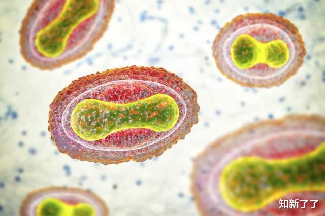 专家激辩:合成DNA究竟会不会带来危险生物材料泛滥的风险