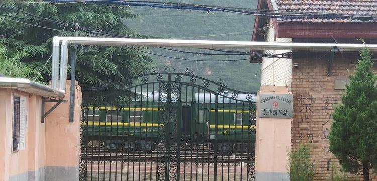 浦江|三元绿皮列车,穿越越秦岭,人少,牛多,欣赏草原