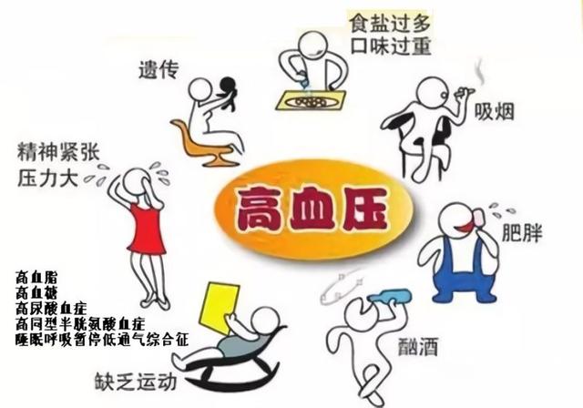 心肌梗塞|保护心脏，需要未雨绸缪，这些事你应该知道