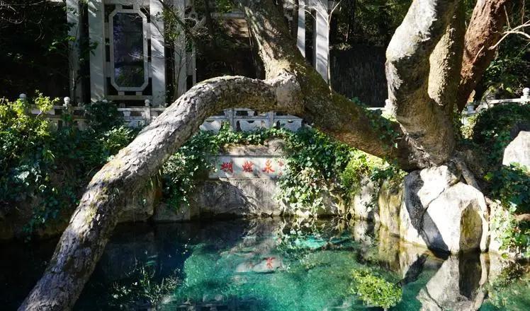 日出|替你节省时间!云南旅游这几个景点都是坑,钱难赚可别浪费了