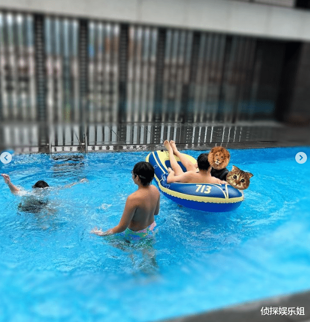 小小志|陈若仪庆祝Kimi满13岁，称最棒的礼物是全家团聚，林志颖心情愉悦