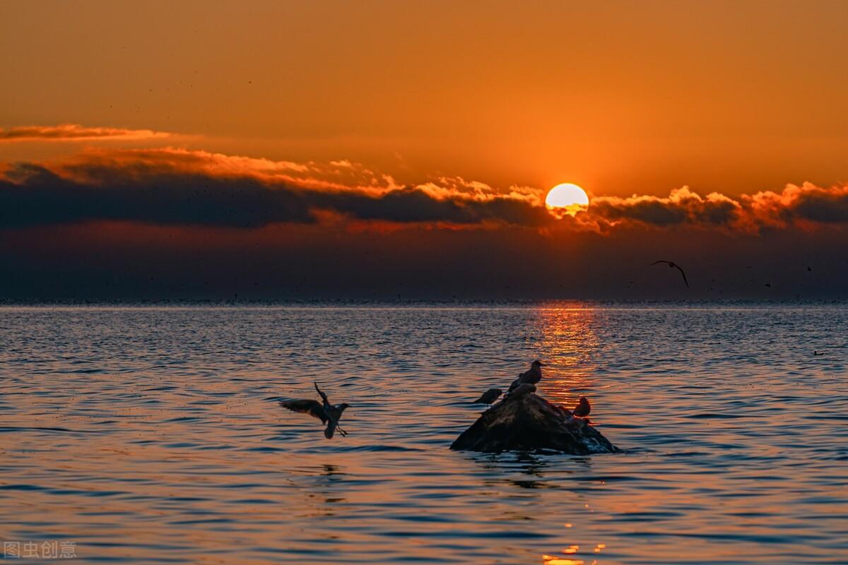 滕州|郭进拴|雨中游滇池