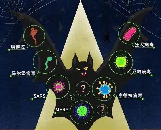 有人说蝙蝠的存在对人类是有益的,消灭反而不好,是真的吗?