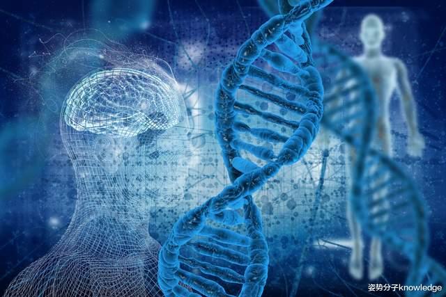 恐龙也是直立行走,为何没进化成智慧生物?再给6600万年会怎样