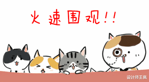 给大家晒晒“我用得最顺手的4件厨房用品”,花钱不多,胜在实用