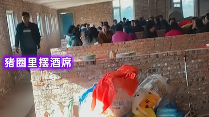 女子参加婚礼吃席疑似酒席摆在猪圈，猪槽子盛大虾，看了相当反胃