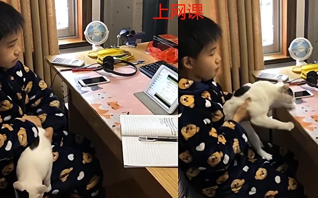 “读书不是为了考试”，杭州一中学宣布取消网课，家长拍手叫好
