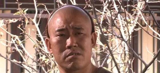 大宅门|《大宅门》二奶奶白文氏，一个堪称完美的二代目大家长