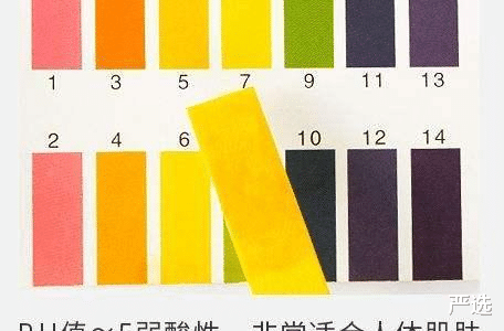 谢杏芳年轻时的旧照曝光, 皮肤白皙, 秒杀赵雅淇