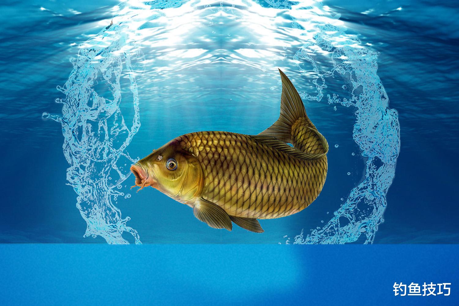 饵料|钓几条鱼就停口,窝子留不住是什么原因?窝子留不住鱼的根本原因