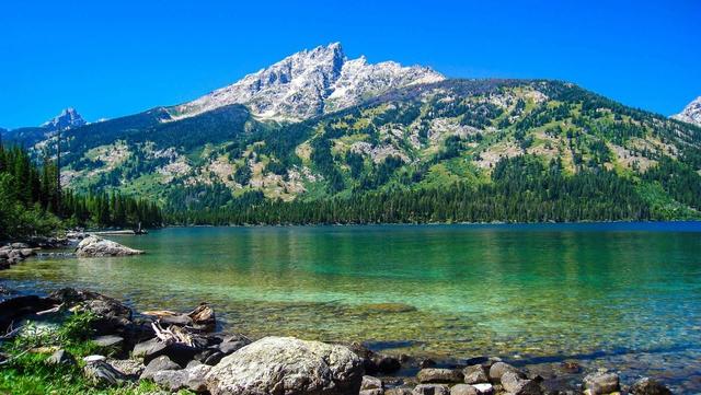 从古至今,“家和万事兴”都是人们生活的重要组成部分