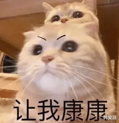 胡一天|胡一天、张云龙二搭《民国大侦探》，有人说剧情不重要，磕CP就行！