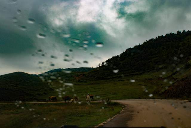 大山包|?太凉爽!云南昭通大山包游记