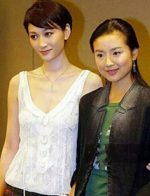 董洁|女星的白皮加成：李小冉胜董洁，佟丽娅比袁泉黑