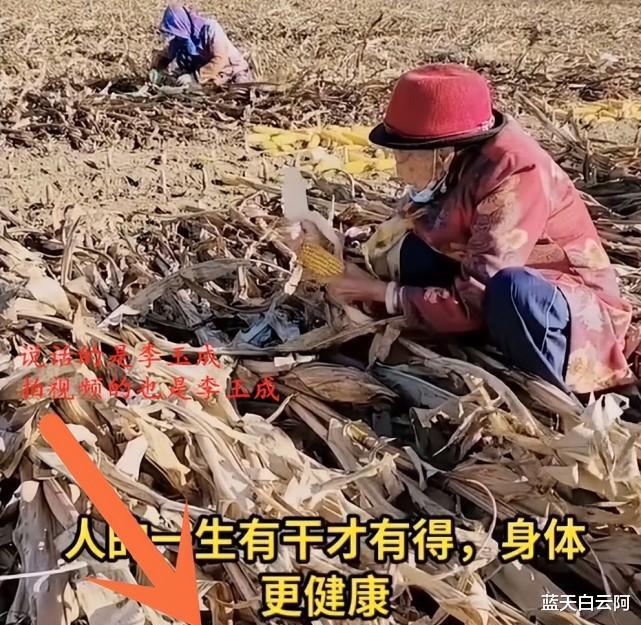 李玉成|85岁马玉琴帮大姑姐扒棒子,李玉成却在拍视频,扬言活到老干到老