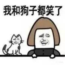 地狱人类图鉴:盘点那些我遇到的折磨人的人类类型