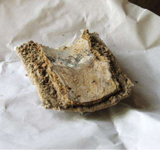 原来马桶堵了只要一壶开水就能搞定,知道太晚,浪费不少钱!