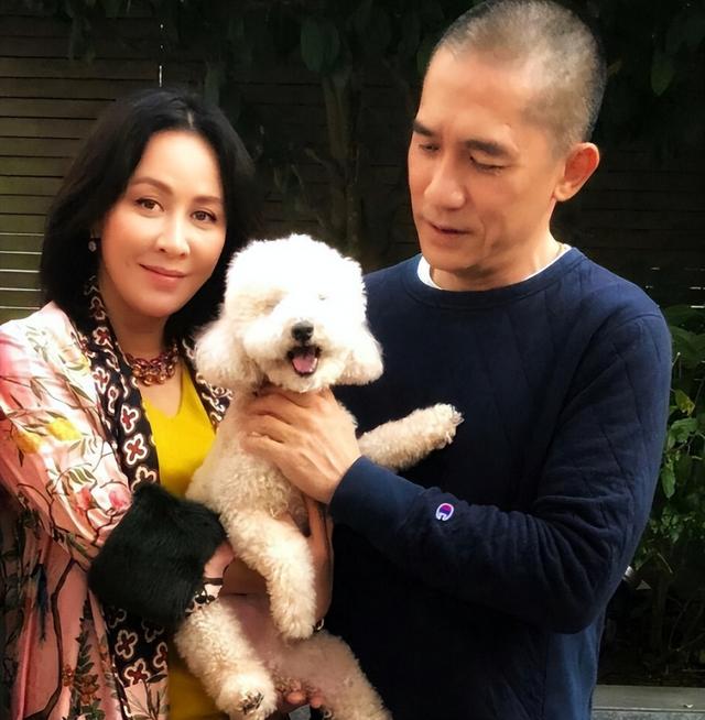 潘虹|“无子女”演员晚年现状,潘虹皈依佛门,傅丽莉花60万养狗为伴