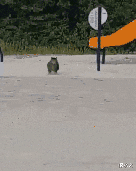 “全世界都知道金三角的危险性,为什么没人去剿灭?”网友神评有毒啊!