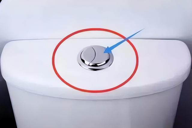 马桶上两个“按钮”有区别吗?这么简单的常识,却很少人知道答案