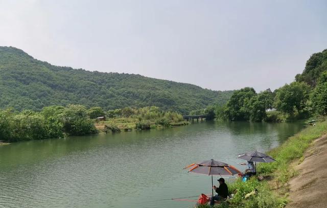 |钓5米还是10米,夏钓潭中的“潭”到底是多深?一篇文章讲清楚